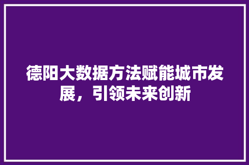 德阳大数据方法赋能城市发展，引领未来创新