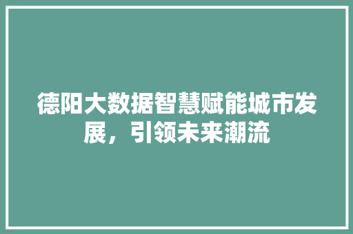 德阳大数据智慧赋能城市发展，引领未来潮流