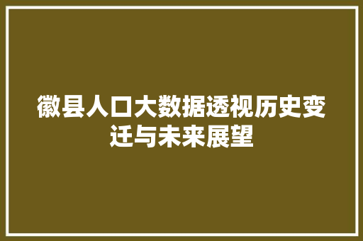徽县人口大数据透视历史变迁与未来展望