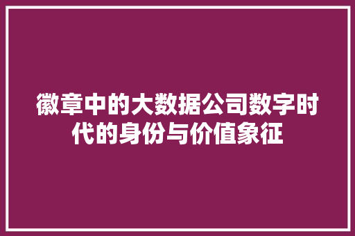徽章中的大数据公司数字时代的身份与价值象征