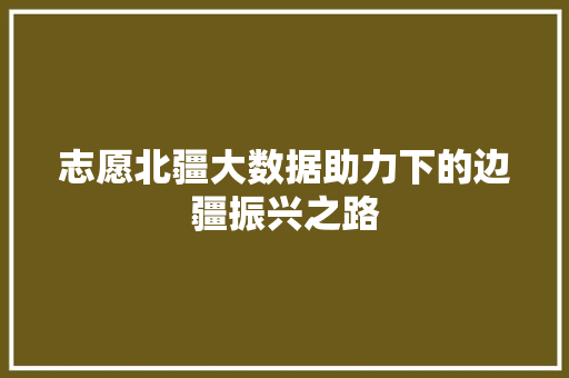 志愿北疆大数据助力下的边疆振兴之路