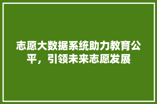 志愿大数据系统助力教育公平，引领未来志愿发展