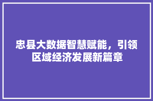 忠县大数据智慧赋能，引领区域经济发展新篇章