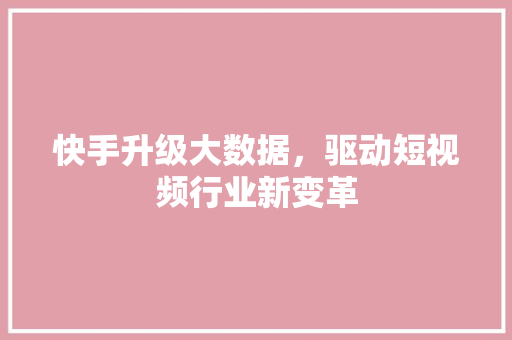 快手升级大数据，驱动短视频行业新变革  第1张
