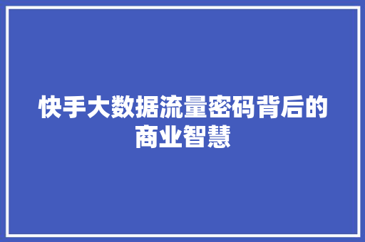 快手大数据流量密码背后的商业智慧  第1张