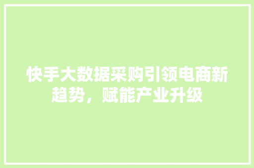 快手大数据采购引领电商新趋势，赋能产业升级  第1张