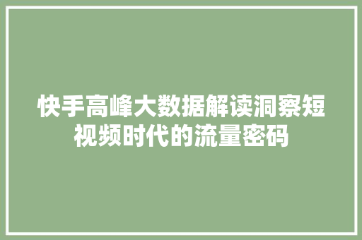 快手高峰大数据解读洞察短视频时代的流量密码