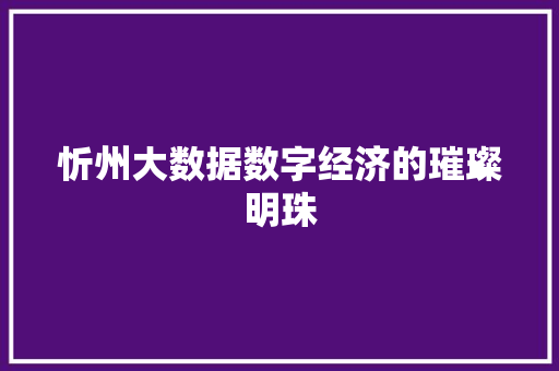 忻州大数据数字经济的璀璨明珠  第1张