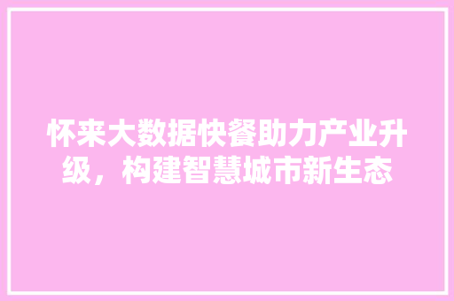 怀来大数据快餐助力产业升级，构建智慧城市新生态