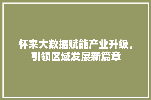 怀来大数据赋能产业升级，引领区域发展新篇章