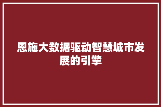 恩施大数据驱动智慧城市发展的引擎