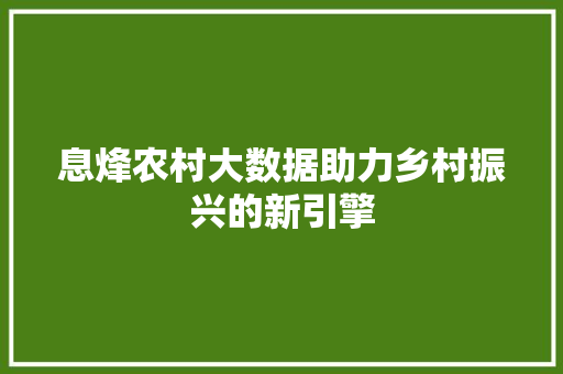 息烽农村大数据助力乡村振兴的新引擎  第1张