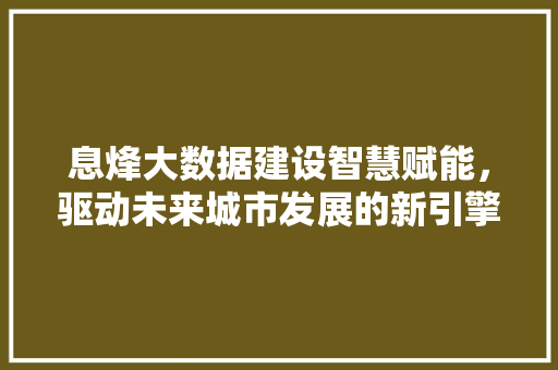 息烽大数据建设智慧赋能，驱动未来城市发展的新引擎