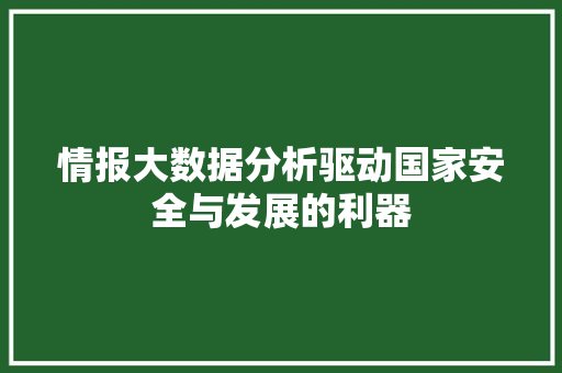 情报大数据分析驱动国家安全与发展的利器