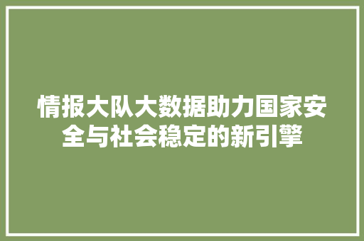 情报大队大数据助力国家安全与社会稳定的新引擎