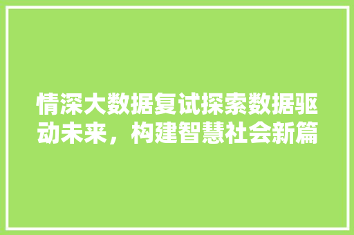 情深大数据复试探索数据驱动未来，构建智慧社会新篇章