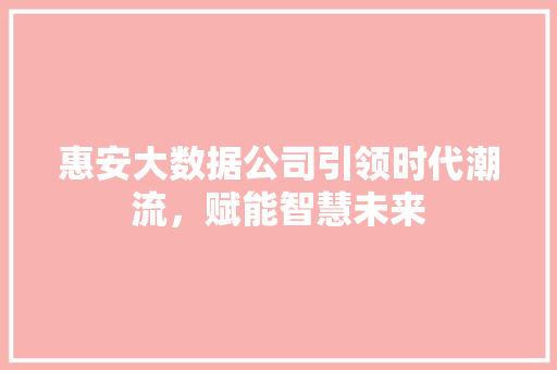 惠安大数据公司引领时代潮流，赋能智慧未来