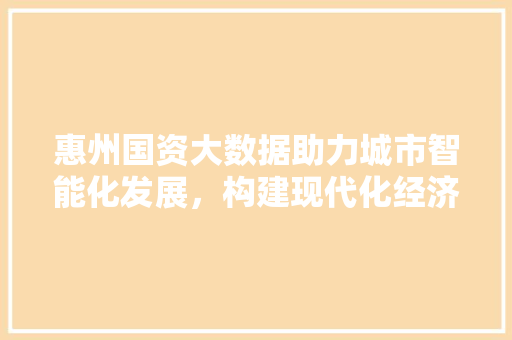 惠州国资大数据助力城市智能化发展，构建现代化经济体系