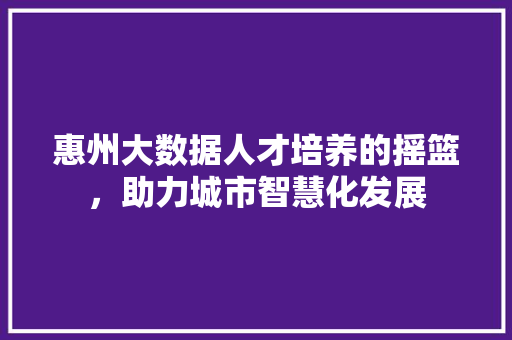 惠州大数据人才培养的摇篮，助力城市智慧化发展