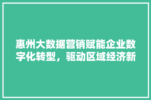 惠州大数据营销赋能企业数字化转型，驱动区域经济新增长  第1张