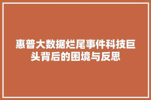 惠普大数据烂尾事件科技巨头背后的困境与反思  第1张