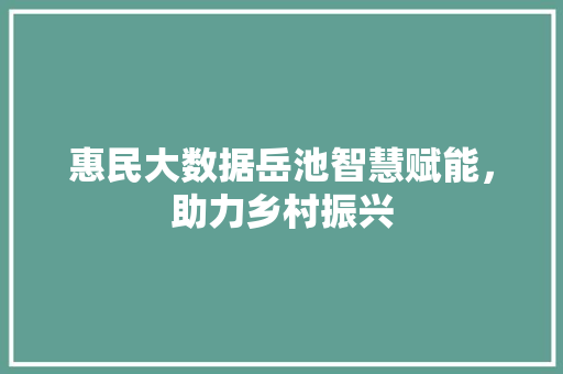 惠民大数据岳池智慧赋能，助力乡村振兴