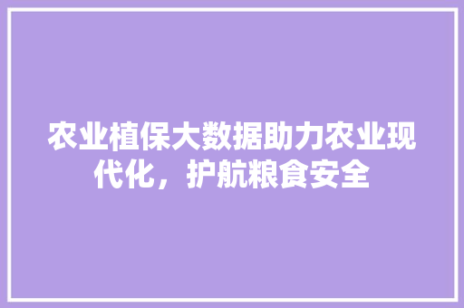 农业植保大数据助力农业现代化，护航粮食安全