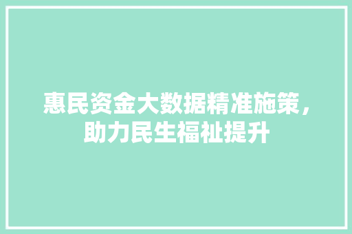 惠民资金大数据精准施策，助力民生福祉提升