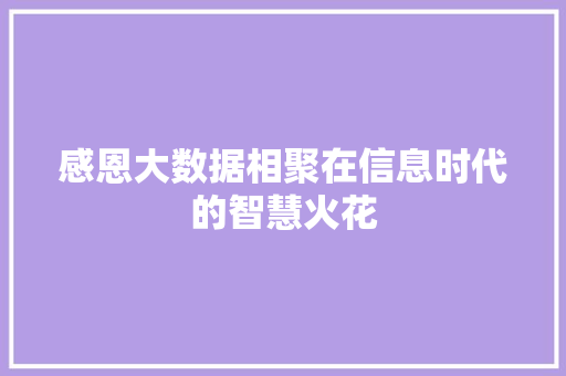 感恩大数据相聚在信息时代的智慧火花
