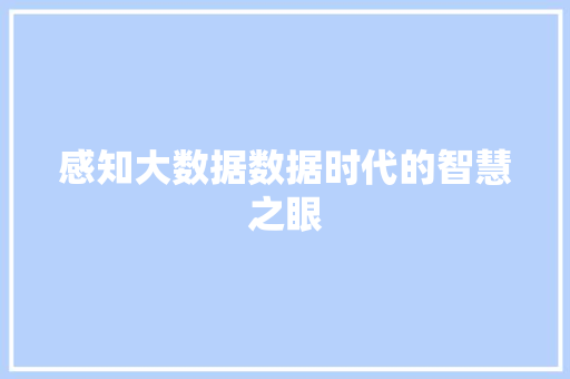 感知大数据数据时代的智慧之眼