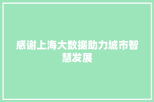 感谢上海大数据助力城市智慧发展