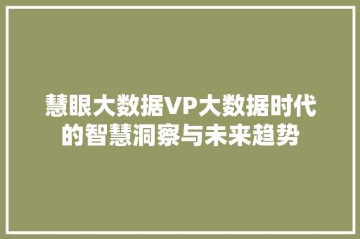 慧眼大数据VP大数据时代的智慧洞察与未来趋势