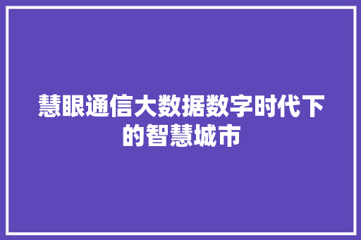慧眼通信大数据数字时代下的智慧城市
