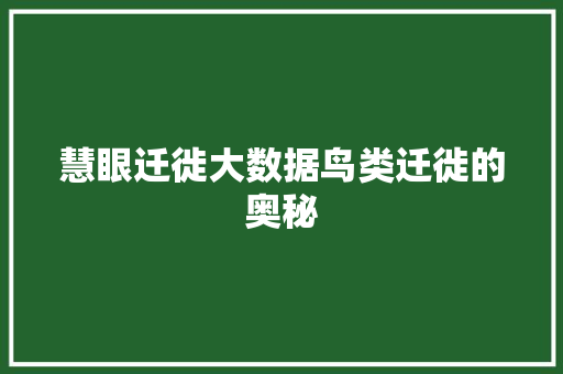 慧眼迁徙大数据鸟类迁徙的奥秘