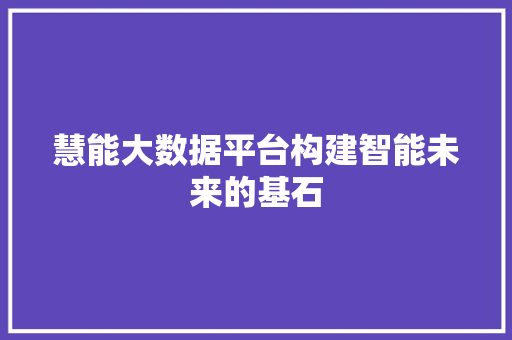 慧能大数据平台构建智能未来的基石