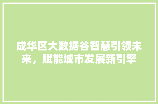 成华区大数据谷智慧引领未来，赋能城市发展新引擎