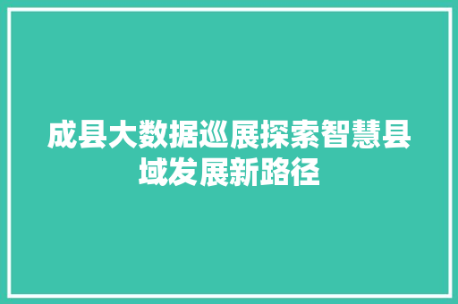 成县大数据巡展探索智慧县域发展新路径