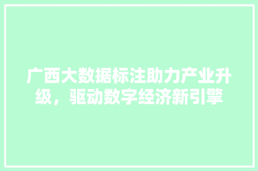 广西大数据标注助力产业升级，驱动数字经济新引擎  第1张