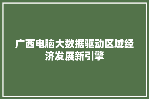 广西电脑大数据驱动区域经济发展新引擎  第1张