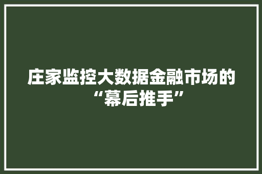 庄家监控大数据金融市场的“幕后推手”