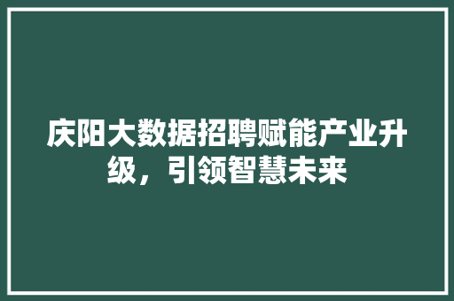 庆阳大数据招聘赋能产业升级，引领智慧未来  第1张