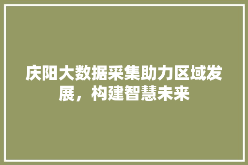 庆阳大数据采集助力区域发展，构建智慧未来
