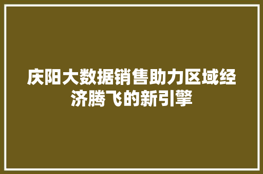 庆阳大数据销售助力区域经济腾飞的新引擎