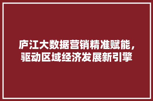 庐江大数据营销精准赋能，驱动区域经济发展新引擎
