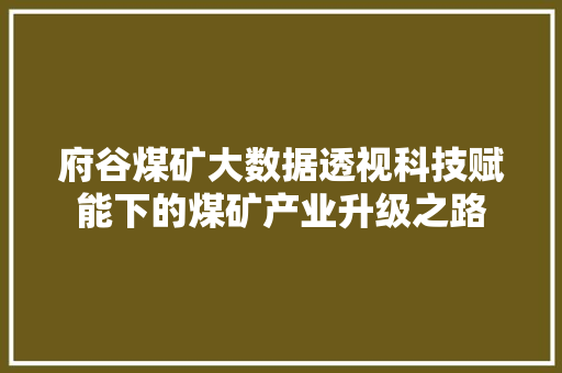 府谷煤矿大数据透视科技赋能下的煤矿产业升级之路
