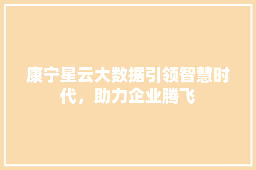 康宁星云大数据引领智慧时代，助力企业腾飞  第1张