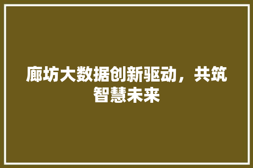 廊坊大数据创新驱动，共筑智慧未来  第1张