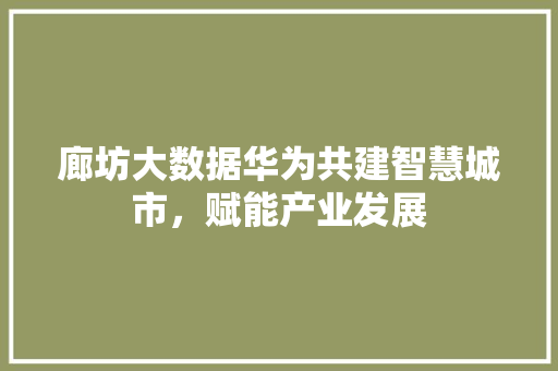 廊坊大数据华为共建智慧城市，赋能产业发展  第1张