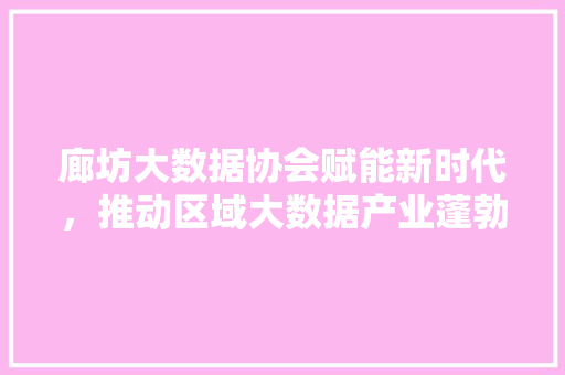 廊坊大数据协会赋能新时代，推动区域大数据产业蓬勃发展  第1张