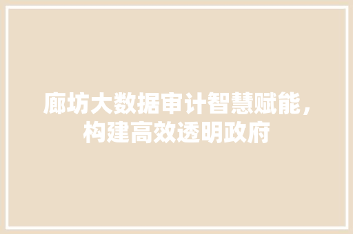 廊坊大数据审计智慧赋能，构建高效透明政府  第1张